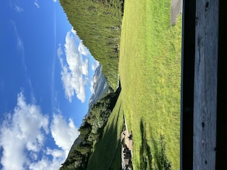 C17A8E7F-B43A-4193-802C-7A72FAE07515