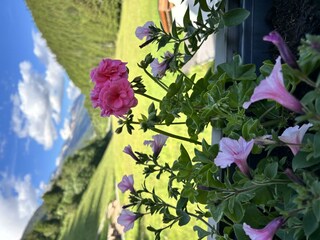 20570254-BCD7-4AC5-94CC-94D6FC76B834