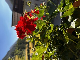 68FB2ED5-41FD-4750-8E72-E7D9FBE025A8