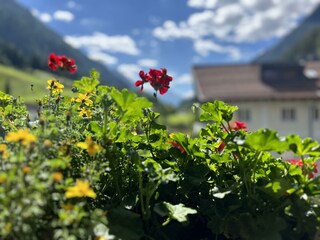 4E7C3D03-B2A8-4E3E-9A66-DA1D0996869B