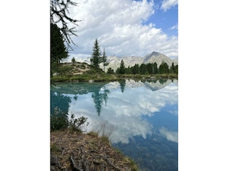 A868311E-324C-40DA-8644-AA6A3EC8AF06