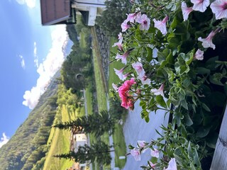 16574B74-1345-4F16-8214-7A2D95AD10EE