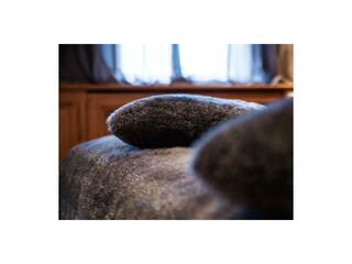 kissen-modern-gemuetlich