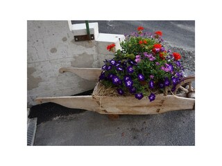Blumen