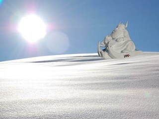 Wicki beim Rodeln in Ischgl