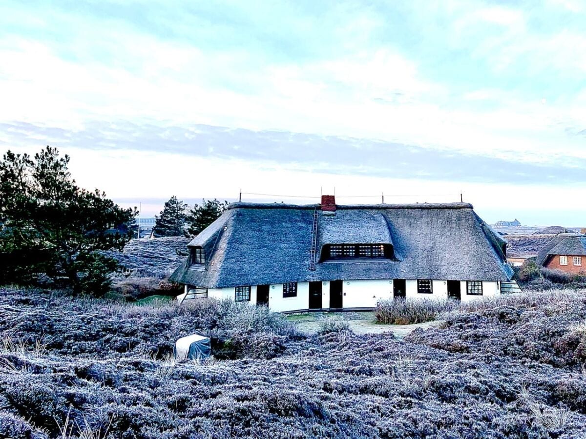 Wundershöne Lage in der Kampener Heide