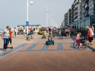 Apartment De Panne Umgebung 27