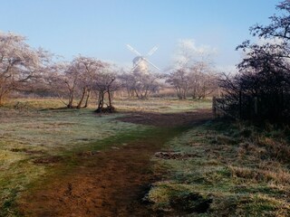 Appartamento De Panne Ambiente 28