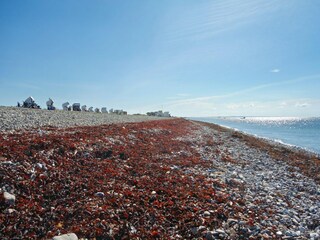 Casa per le vacanze Petersdorf Ambiente 59