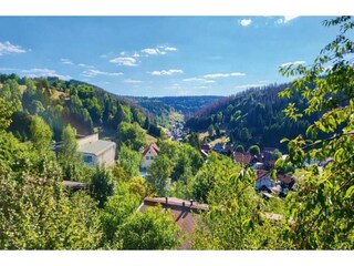 Ferienhaus Masserberg Umgebung 20