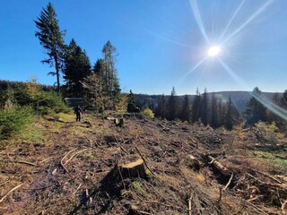 Casa per le vacanze Masserberg Ambiente 25