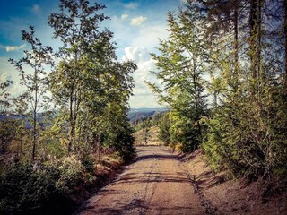 Casa per le vacanze Masserberg Ambiente 27