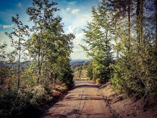 Casa per le vacanze Masserberg Ambiente 43