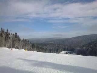 Casa per le vacanze Masserberg Ambiente 49