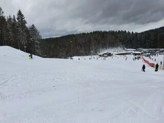 Casa per le vacanze Masserberg Ambiente 52