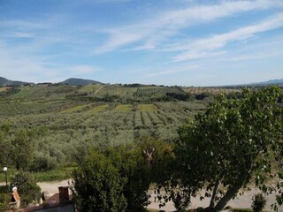 Appartement San Vincenzo Omgeving 30