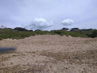 Apartment San Vincenzo Umgebung 34