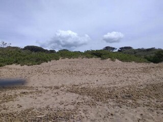 Appartement San Vincenzo Omgeving 34