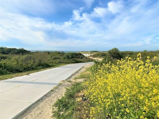 Maison de vacances Kortgene Environnement 18