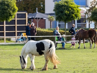 Ferienwohnung Butjadingen Außenaufnahme 5