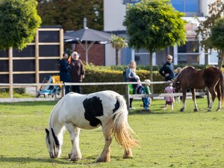 Ferienwohnung Butjadingen Außenaufnahme 6