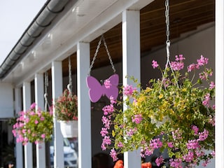 Ferienwohnung Butjadingen Außenaufnahme 11