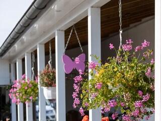 Ferienwohnung Butjadingen Außenaufnahme 12