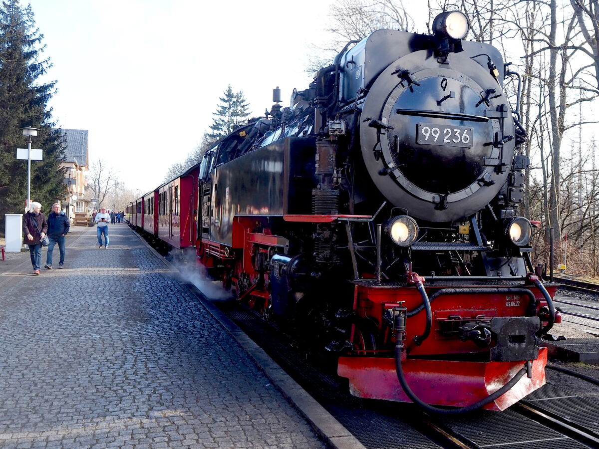 Harzer Schmalspurbahn. Fahrt zum Brocken.