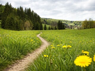 Zahlreiche Wanderwege für eine aktive Auszeit