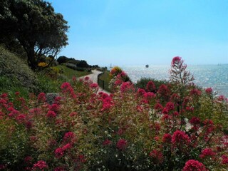 Vakantiepark La Rochelle Omgeving 27