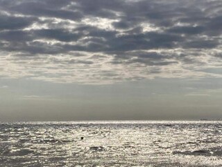 Parc de vacances La Rochelle Environnement 29