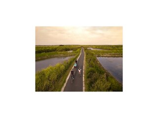 Vakantiehuis Ars-en-Ré Omgeving 18