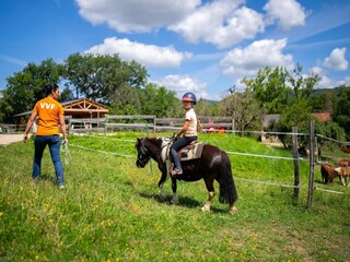 Maison de vacances Noailhac Enregistrement extérieur 5