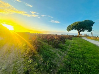 Parc de vacances Aigues Mortes Environnement 22