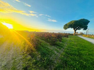 Vakantiepark Aigues Mortes Omgeving 22