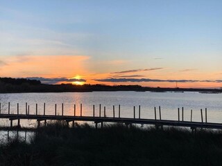 Parc de vacances Aigues Mortes Environnement 30