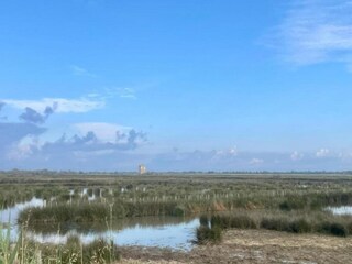 Vakantiepark Aigues Mortes Omgeving 15