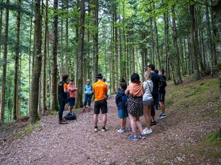 Vakantiehuis Obernai  33