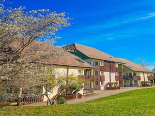 Vakantiehuis Obernai  35