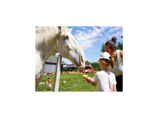 Maison de vacances Veules-les-Roses Environnement 25