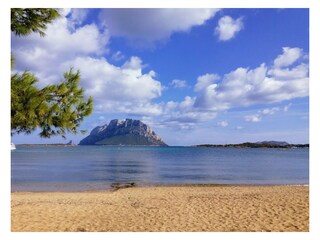 Casa de vacaciones Porto San Paolo Entorno 28