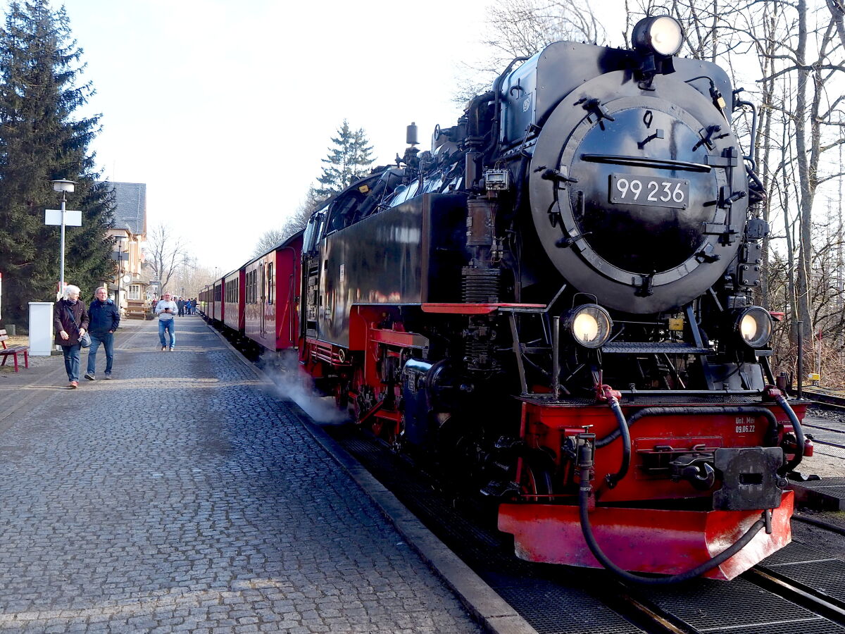 Mit der Schmalspurbahn zum Brocken