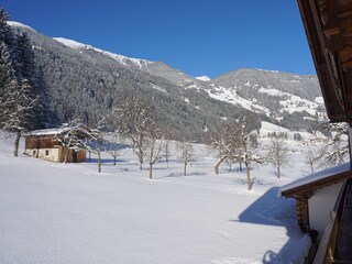 Hinterm Haus