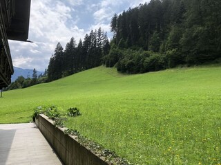 Hinterm Haus