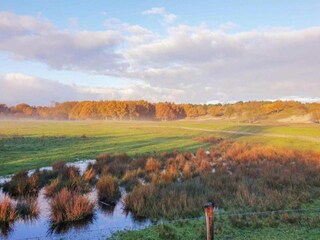 Vakantiepark Domburg Omgeving 17