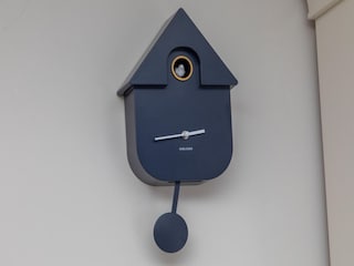 Ferienhaus Zoutelande  33