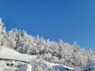 Ferienpark Neukirchen am Großvenediger Außenaufnahme 9