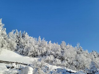 Parco vacanze Neukirchen am Großvenediger Registrazione all'aperto 7