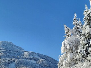 Ferienpark Neukirchen am Großvenediger Umgebung 27