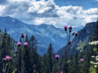 Appartement Gaschurn Environnement 19